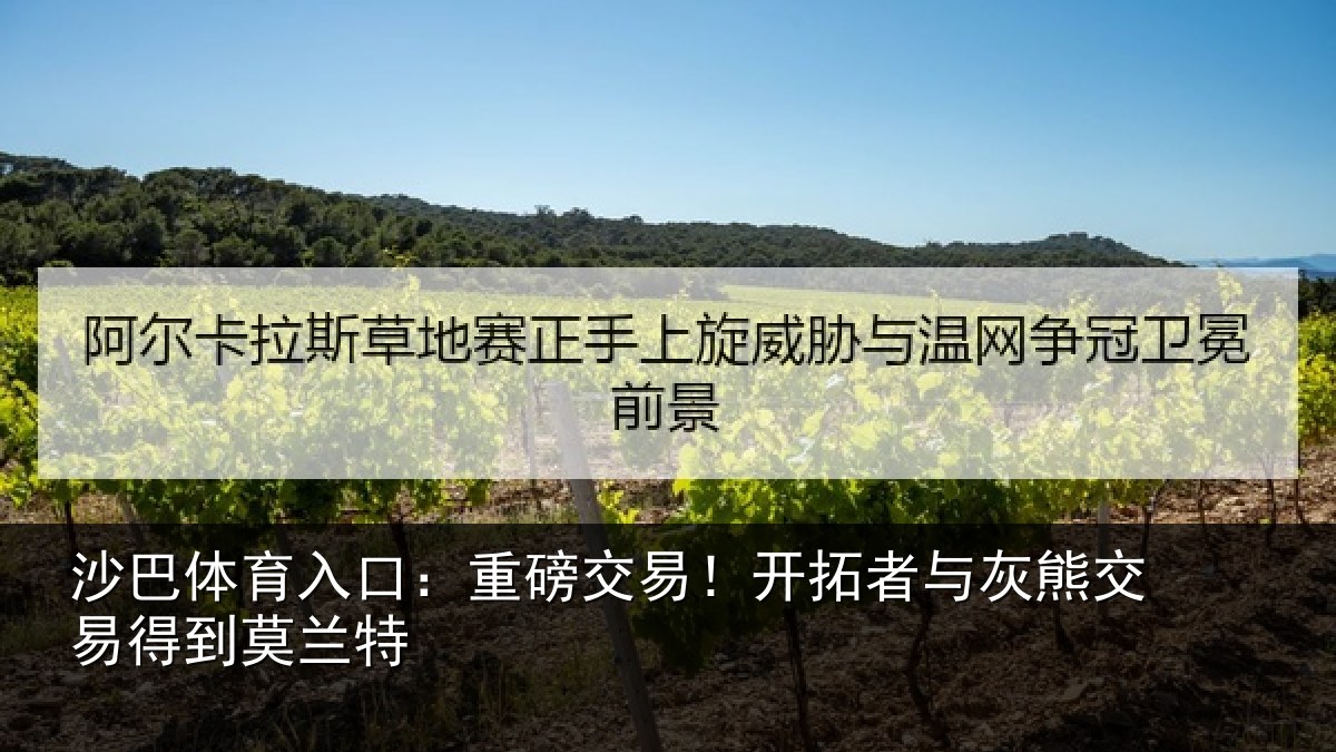 沙巴体育入口:重磅交易!开拓者与灰熊交易得到莫兰特