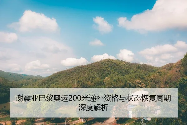 谢震业巴黎奥运200米递补资格与状态恢复周期深度解析