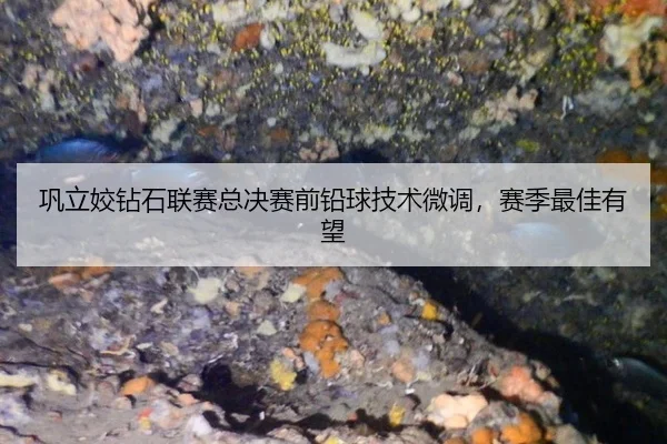 gong-li-jiao-zuan-shi-lian-sai-zong-jue-sai-qian-qian-qiu-ji-shu-wei-diao-sai-ji-zui-jia-you-wang-3-697.jpg