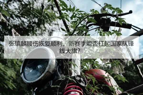 张镇麟腰伤恢复顺利，新赛季能否扛起国家队锋线大旗？